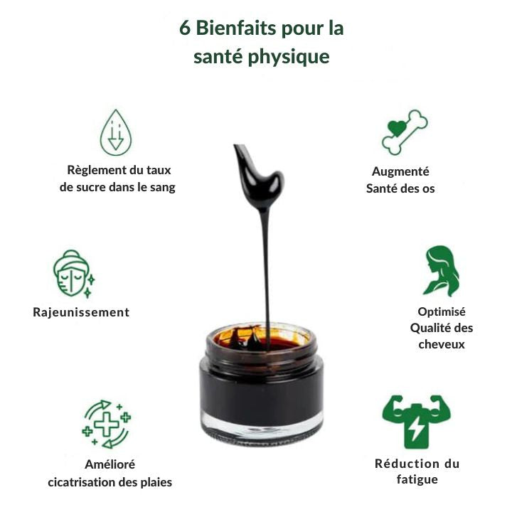 Shilajit de l'Himalaya 100% Premium