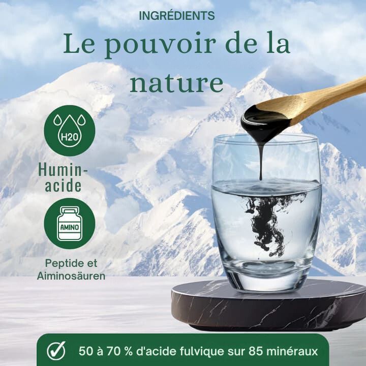 Shilajit de l'Himalaya 100% Premium