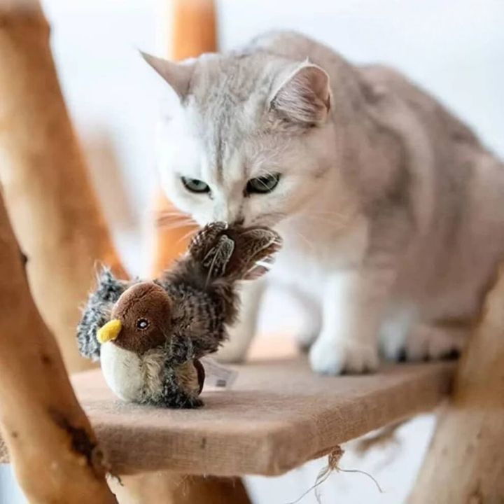 Jouet Interactif® | Simulation de Chasse pour Chat (1+1 GRATUIT)